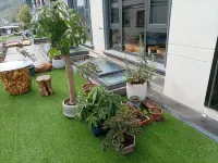 TianTai  Wang HomeStay