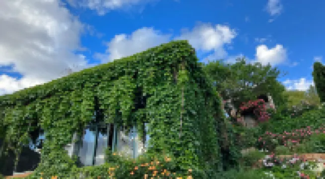 瀘沽湖大嘴窩窩客棧