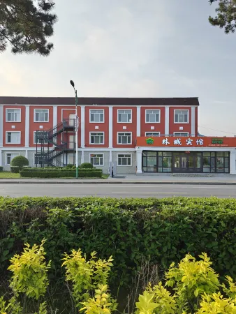 Tahe Lincheng Hotel Отели в г. Тахэ
