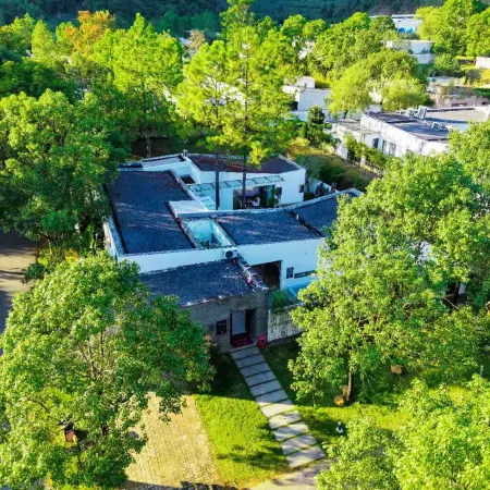 Pine View Lodge