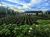 Erguna Taibao Hotel - Scenic