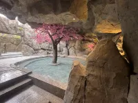 Nanqiao Qingcheng Hot Spring & Cinema Hotel (Dujiangyan Scenic Area Branch) - 스파