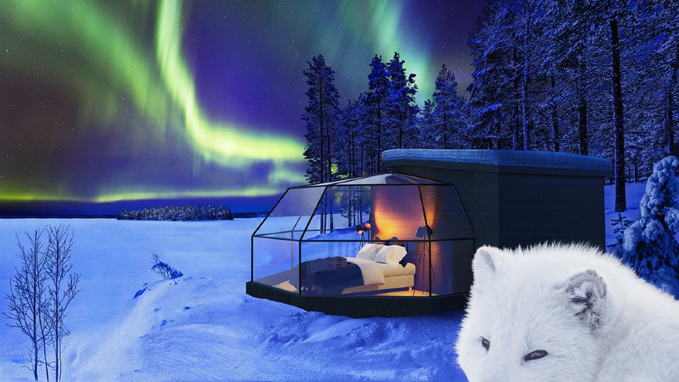 Ranua Resort Arctic Igloos