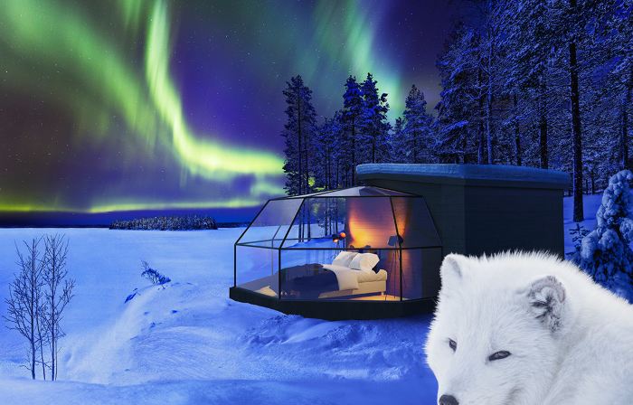 Ranua Resort Arctic Igloos