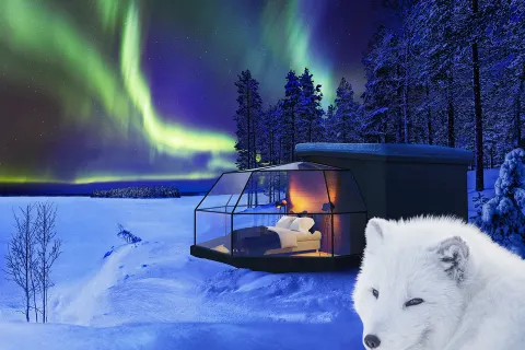 Ranua Resort Arctic Igloos