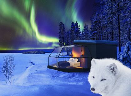 Ranua Resort Arctic Igloos