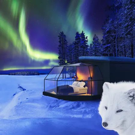 Ranua Resort Arctic Igloos
