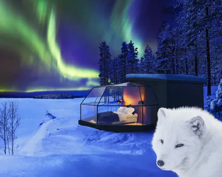 Ranua Resort Arctic Igloos Hotels in Ranua