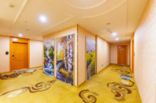 維也納3好飯店（西寧高鐵火車站玖鷹蟲草市場店）