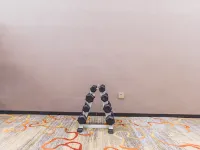 Borrman (Pingle Government Center Plaza)