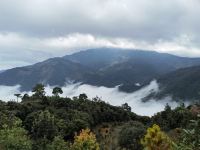 新平云海山庄 - 观景大床房