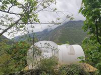 汶川大禹农庄 - 星空泡泡房