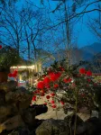 Dujiangyan Lotus Water Township Farmhouse