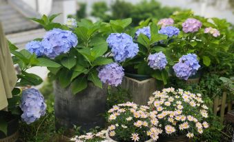 Inflorescence & Floriculture Theme Guesthouse(Yi County Old Town)