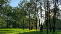 Fengning Bashang Zandan Manor