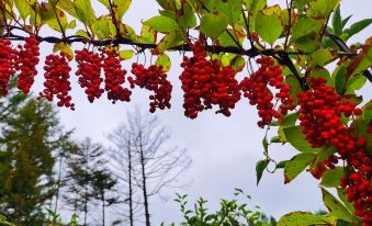Hengdaohezi Xiaoqiu's Homestay