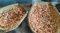 Niuchehe Shanshuijian Homestay - sarapan