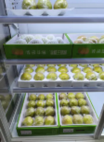 林源嵐家庭民宿（小西天景區店）