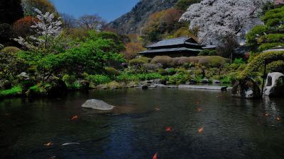 共有エリア 箱根湯本温泉 吉池旅館の写真