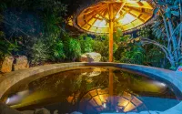 World Dinosaur Valley Hot Spring Hotel - Hot Springs