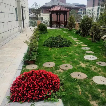Baili Dujuan Somayue Su B&B