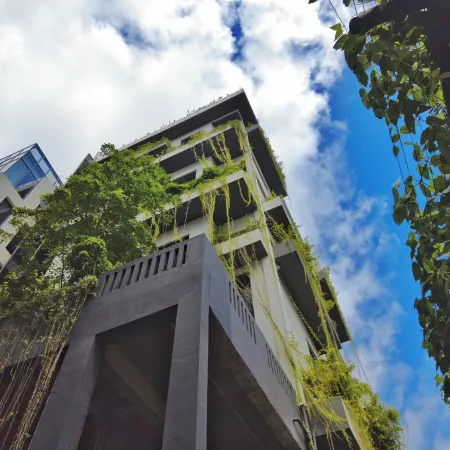 VAUX Park Street