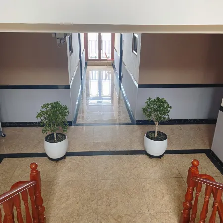 Qingfeng Homestay