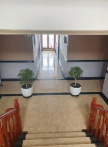 Qingfeng Homestay