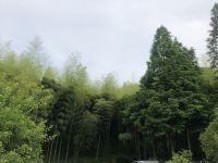 杭州竹里居民宿 - 酒店景观