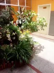 Jieshou Saturday Hotel