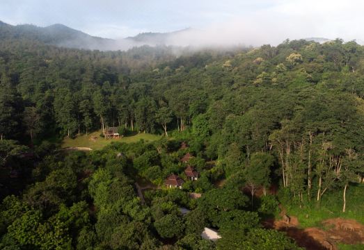 숲길을 따라 타완 리버사이드로