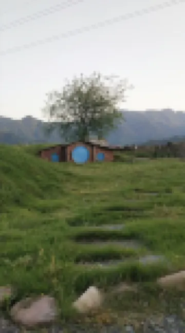 Lushan west sea van gogh home stay facility