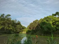 Shanghai Liubaiju Family Homestay (Ou Bo Sheng Bao)