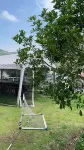 Laoshe  Inn Hotel a Deqing