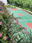 Guanglv Le Xing Zhi Qu De Tian Border Camp Homestay