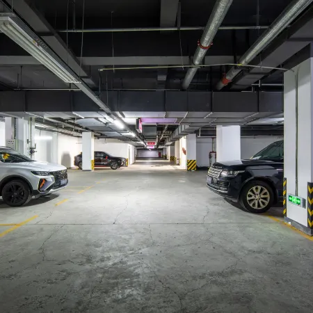 Daocheng ACE Holiday Hotel (Daocheng Yading Scenic Area Branch)