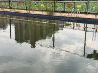 古德華城花園飯店 - 游泳池