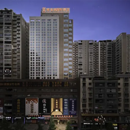 Vienna International Hotel (Bijie Qixingguan District Government)