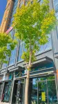 Mu Ye Esports Hotel - Afhentnings-/afleveringstjenester