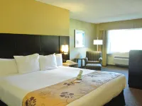 Best Western Seattle Airport Hotel Hotels in Seattle