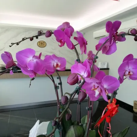 707 Hotel (Cheng Ho ) Melaka