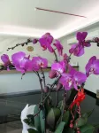 707 Hotel (Cheng Ho ) Melaka