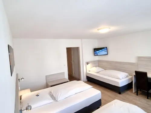 Adler Hotel Frankfurt - Bintang 3