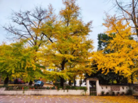 xiangyu Homestay Hotels near Changxing Badujie Scenic Area