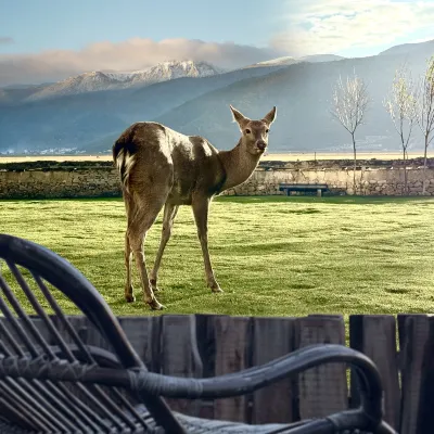 EVEREST POINT Hoteles cerca de Napahai Tourism Area Dala Scenic Spot