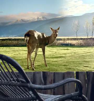 EVEREST POINT Hotels near Xianggelila Gao Mountain Botanical Garden