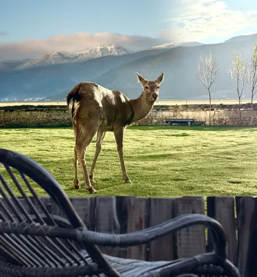 Golden Rhythm Wild Courtyard, Shangri-La Lakeside Ranch - Boutique
