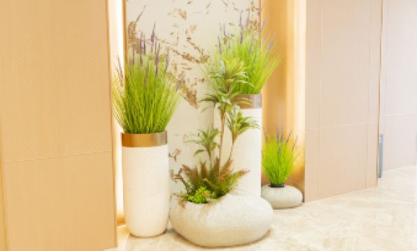 Qingyuan Qingcheng Station Shunying Times Square Fengdu Hotel