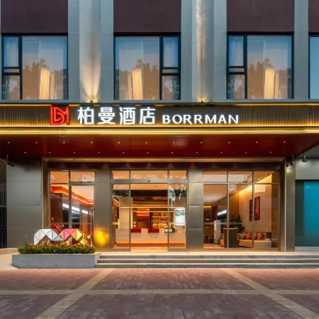 BORRMAN Hotel (Yangjiang Yangdong)