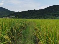 广州探云田居民宿 - 酒店附近